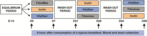 Figure 1. Cross-over study design in which the participants were asked to consume one of three dietary fiber supplements (Fibremax, Inulin or Vitafiber) daily for 1 week, with a two-week washout period between supplements. Prior to each dietary fiber intervention, and throughout the study, participants were asked to consume a standardized diet which excludes fiber-rich foods including beans, high-fiber cereals and bars, dietary supplements and antibiotics. Before and after each intervention, stool and blood were collected 4 hours following the consumption of a typical breakfast.