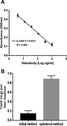 Figure 7. Comparison in ALNb18 yield between the expression conditions. A competitive ELISA on immobilized mixture of nanobodies (0.1 µg/well) for binding R-a-His antibody (1:5000), was used to estimate ALNb18 nanobody expression yield (mg/L) of bacterial growth medium. (A) Serial concentrations (ng/mL) logarithm of a purified nanobody were used to draw a linear regression standard curve as a function of absorbance values. The linear equation was extracted and used to interpolate the unknown ALNb18 concentrations in the periplasmic samples. R2 represent the goodness of the fit of the standard curve. (B) A comparison of nanobody yield in the periplasmic lysates from two growth conditions; initial (TB growth medium, 1 mmol/L IPTG and 16 hours incubation at 28 °C) or optimized (LB growth medium, 0.1 mmol/L IPTG and 4 hours incubation at 37 °C) conditions.