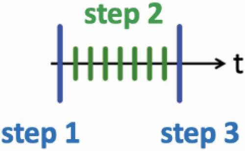 Fig. 4. Time stepping scheme for transient HOLO methods.