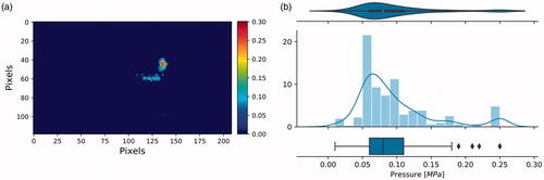 Figure 7. An example of Data analysis and statistics. Dry run mode test by using 4LW type film shows. (a) Contact pressure distribution per pixel, a 120 × 210 array has been selected and presented. (b) violinplot, histogram and boxplot has been shown.