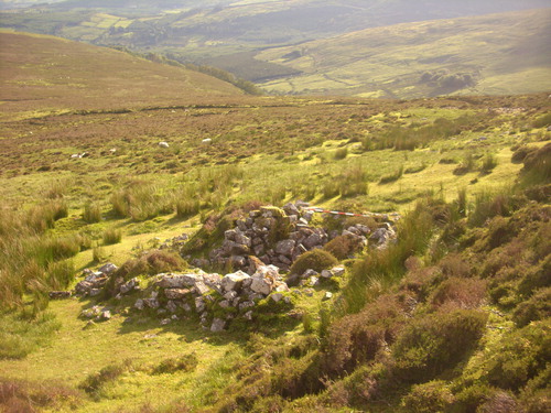 Fig 2 SW-facing view of abandoned post-medieval booley dwelling in Coolagarranroe, Galtee Mountains (Co Tipperary, Ireland), showing grassier vegetation and absence of heather. Photograph by author.