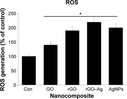 Figure 10 GO-, rGO-, rGO–Ag nanocomposite-, and AgNP-induced ROS generation in human ovarian cancer cells.Notes: Relative fluorescence of 2′,7′-dichlorofluorescein was measured at the excitation wavelength of 485 nm and emission wavelength of 530 nm using a spectrofluorometer. The results are expressed as the mean ± standard deviation of three independent experiments. The treated groups showed statistically significant differences from the control group by the Student’s t-test (*P<0.05).Abbreviations: Con, control; GO, graphene oxide; rGO, reduced graphene oxide; AgNPs, silver nanoparticles; ROS, reactive oxygen species.