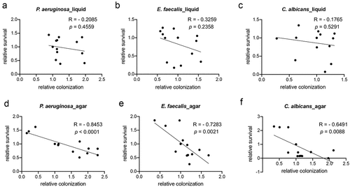 Figure 5. Pathogen virulence is colonization-dependent on agar plate but not in liquid. Young adult glp-4(bn2) worms were reared on empty vector, daf-2, daf-16, pmk-1, or zip-2 RNAi and then exposed to P. aeruginosa PA14:dsRed, E. faecalis OGRF1:GFP, or C. albicans fRS26:GFP in liquid- (a) or agar-based (b) contexts. Host survival and pathogenic colonization for each combination of RNAi (daf-2, daf-16, pmk-1, or zip-2) and pathogen (P. aeruginosa, E. faecalis, and C. albicans) were normalized to their empty vector group control. Data shown include all three biological replicates for each group. The relative survival and colonization were plotted. R and p values were determined from Pearson correlation.