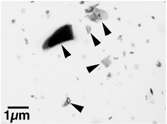 FIG. 5 Transmission electron microscope image of particles collected from clouds with the impactor sampler on the WB-57. Angular-to-irregularly-shaped particles (indicated by arrowheads) contain Zn and minor C and O.