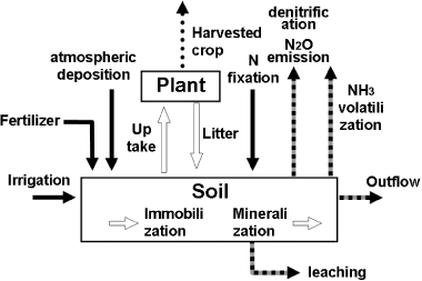 Figure 2  Summary sketch of N cycling in a soil–plant system.