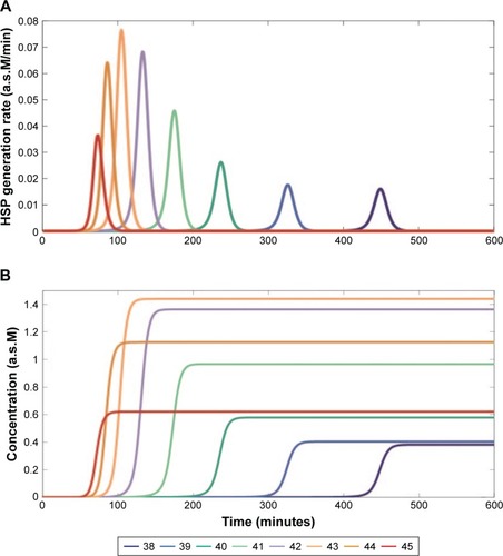 Figure 3 Maximum HSP synthesis is achieved at 43°C by using either the optimized kf or kb. Results for cytotoxic temperatures (≥43°C) are significantly different from those that are around the body temperature. (A) HSP generation rate, S(τ, T), for different heating temperatures using the optimized kb value. a.s.M/min. (B) Heating duration time and the accumulated HSP at different temperatures using the optimized kb value.Abbreviations: HSPs, heat shock proteins; a.s.M, arbitrary scale molarity.