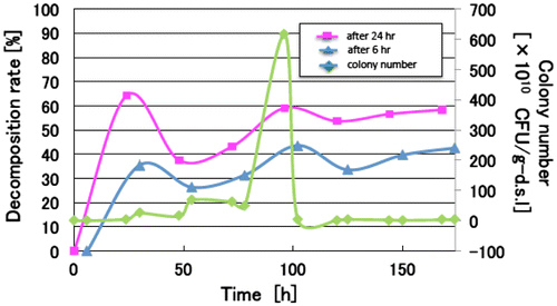 Figure 5. An example of the time course of garbage decomposition rate and the colony number in the static type treating system.