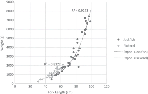 Figure 2. Fork length vs weight for jackfish and walleye.