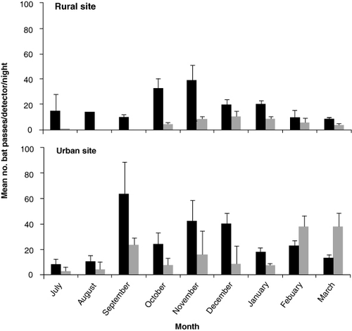 Figure 3 Mean (± SEM) number of bat passes/detector/night recorded at each site at a lower (4–6 m; black bars) and higher (15–30 m; grey bars) height tier for every month of monitoring.