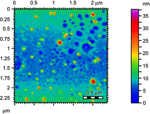 Figure 8 AFM images showing particles size distribution.