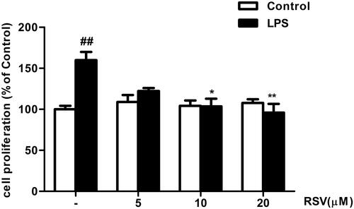 Figure 1 RSV suppressed LPS-induced RMCs’ proliferation as shown by MTT assay. Experiments were performed in triplicate with similar results. Data are means ± SEM. ##P<0.01 vs Control; *P<0.05 vs LPS-treated group, **P <0.01 vs LPS-treated group.