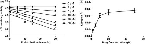 Figure 8. Time (0–30 min) and concentration (0–50 μM)-inactivation of microsomal CYP3A4 activity by DHM in the presence of NADPH. The initial rate constant of inactivation of CYP3A4 by each concentration (Kobs) was determined through linear regression analysis of the natural logarithm of the percentage of remaining activity versus pre-incubation time (A). The KI and Kinact values were determined through non-linear analysis of the Kobs versus the DHM concentration (B).