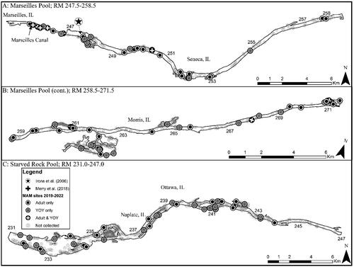 Figure 3. Map of 2019–2022 Round goby captures from Marseilles and Starved Rock pools of the Illinois Waterway. Note that RM stands for river mile.