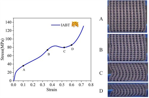 Figure 11. Deformation behaviour of IABT lattice structure. Configuration of IABT lattice structure correspond to points A, B, C, and D on its stress-strain curve.