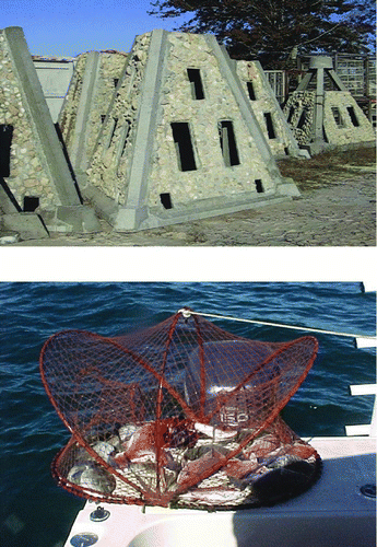 FIGURE 2 Pyramid structures used to construct artificial reef complexes at Artificial Reef Site Fish Haven 13 in the northern Gulf of Mexico (upper panel); and a trap used for collecting Red Snapper during sampling (lower panel; photographs provided by the Mississippi Department of Marine Resources).