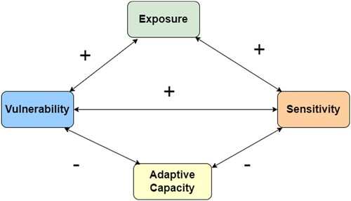 Figure 8. Feed-back Model: Components of vulnerability.