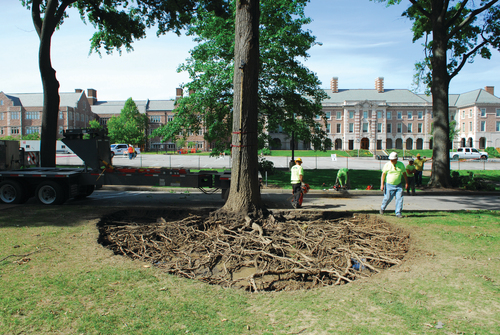 Figure 11. Hydro-excavation at the root deck.