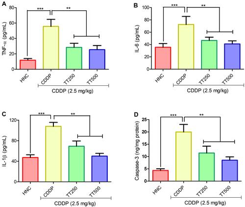 Figure 5 Effect of TT on brain proinflammatory cytokines (A) TNF-α, (B) IL-6, (C) IL-1β and (D) caspase-3 activity in CDDP induced neurotoxicity in rats. Results are expressed as mean ±SD (n=6) and analyzed using one-way ANOVA followed by Tukey post hoc test. *p<0.001 indicates significant difference compared to HNC group; **p<0.001 indicates significant difference compared to CDDP group.