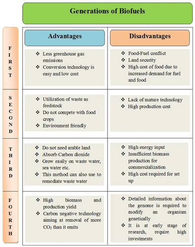 Figure 3. Advantages and Disadvantages of different generations of biofuels.