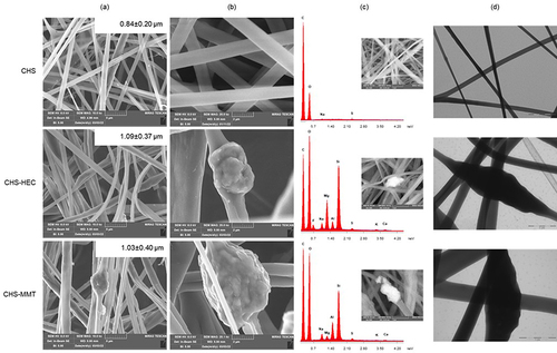 Figure 1 Undoped (CHS) and doped scaffolds with hectorite (CHS-HEC) or montmorillonite (CHS-MMT): (a) SEM micrographs of nanofibers (mag. 10kx). In the inset the fiber diameters are reported; (b) SEM micrographs of nanofibers (mag. 25kx); PBS; (c) SEM- EDX spectra (mag. 25kx); (d) TEM micrographs (scale bar 2 µm in CHS and 1 µm in clay-doped fibers).
