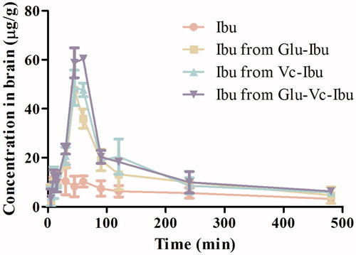 Figure 6. Concentration curves in brain homogenate versus time after administration of Ibu, Glu-Ibu, Vc-Ibu and Glu-Vc-Ibu (hydrolysis, n = 3).