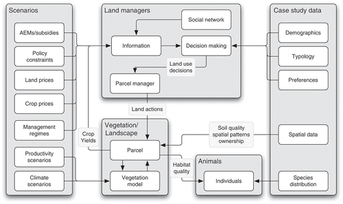 Figure 2. Detailed structure of the conceptual model.