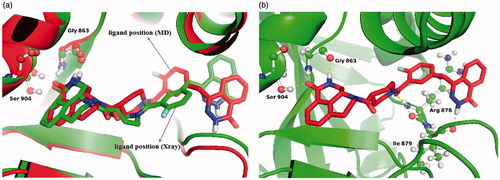 Figure 2. (a) The crystal structure of the PARP-1 complex (green) superimposed with the representative structure (red). (b) Equilibrated inhibitor pose and its interactions with active site residues.