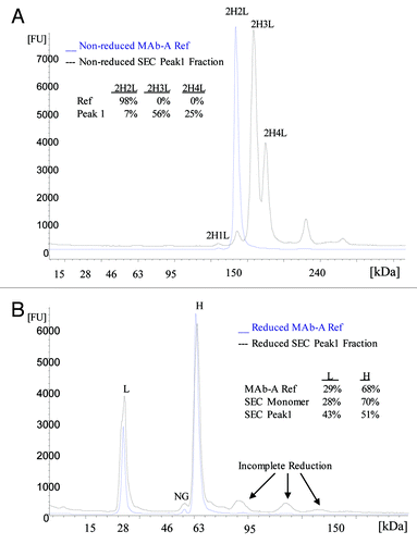 Figure 5. Electropherograms of non-reduced (A) and reduced (B) MAb-A reference material (Ref) and SEC Peak 1 fraction obtained using Agilent 2100 Bioanalyzer with Protein 250 Kit. NG: non-glycosylated heavy chain.