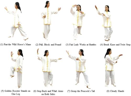 Figure 1 Eight Tai Chi Quan movements.