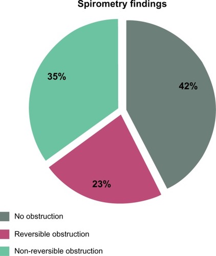 Figure 1 Spirometry findings of patients with previous chronic obstructive pulmonary disease or anticholinergic inhalers (n = 80).