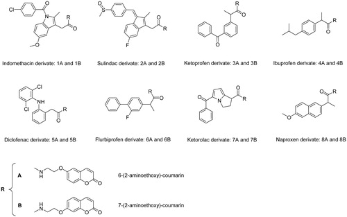 Figure 1. Chemical structures of NSAID − CAI hybrids.