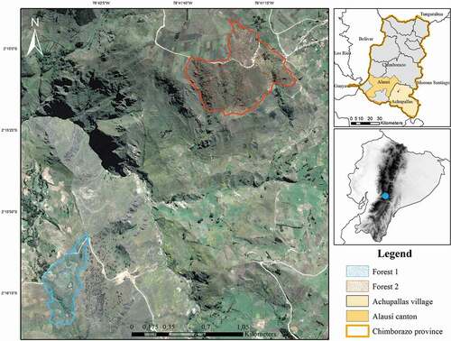 Figure 4. Map of two Polylepis microphylla forests in the study area in Chimborazo province, Ecuador