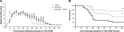 Figure 1 TRAIL deficiency improved survival in CASP.Notes: (A) Peritonitis was induced in wild-type and TRAIL−/− mice (n=20 per group). Sepsis severity scores were determined every 4 hours for 100 hours according to Zantl et al.Citation22 Mean values and standard errors of the mean at respective time points are shown for wild-type (black) and TRAIL−/− mice (gray). Eight hours after induction of CASP, TRAIL−/− mice displayed highly significantly increased sepsis severity scores when compared to wild-type mice. In marked contrast, when compared to wild-type mice, sepsis severity was decreased in TRAIL−/− mice from 16 hours until 72 hours following CASP. A representative result of two experiments is shown. *P<0.05; **P<0.01; ***P < 0.001. (B) Peritonitis was induced in wild-type and TRAIL−/− mice (n≥23 per group). An additional group of wild-type mice received TRAIL treatment after induction of CASP (wild type + TRAIL). Survival was monitored every 4 hours. Kaplan–Meier curves are shown for wild-type mice (black), TRAIL-treated wild-type mice (dashed line), and TRAIL−/− mice (gray). TRAIL deficiency significantly improved survival. As previously shown,Citation16 TRAIL treatment highly significantly improved survival after CASP. *P<0.05; **P<0.01 when compared to septic wild-type controls.Abbreviations: CASP, colon ascendens stent peritonitis; TNF, tumor necrosis factor; TRAIL, TNF-related apoptosis-inducing ligand.