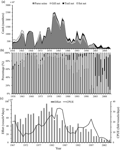 FIGURE 1. Annual trends of the (a) total catch and (b) percentage of Grey Mullet caught using purse seiners, gill nets, trail nets, and set nets and (c) the effort and CPUE of Grey Mullet caught using purse seiners in the Taiwan Strait.