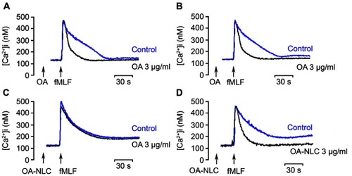 Figure 6 Effects of OA and OA-NLC on Ca2+ mobilization.Notes: Fluo 3-loaded neutrophils were incubated with OA or OA-NLC for 5 min. Cells were then activated by fMLF (0.1 μM). Mobilization of Ca2+ was determined in real time in a spectrofluorometer. (A, B) In the absence of BSA, neither OA nor OA-NLC affected peak [Ca2+]i values in fMLF-activated neutrophils; however, they significantly decreased the time required for [Ca2+]i to return to half of the peak value (t1/2). (C, D) In the presence of BSA, OA-NLC, but not OA, affected t1/2 values. Representative traces from four independent experiments are shown.Abbreviations: OA, oleic acid; OA-NLC, oleic acid within nanostructured lipid carriers; BSA, bovine serum albumin.