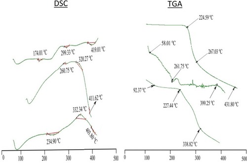 Figure 2 DSC and TGA (Drug, physical mixture, formulation CNP3).