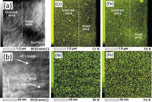 Figure 9. STEM-EDS mapping of Zircaloy-2 irradiated with a dose of 50 dpa at 400°C: (a) Cr and Fe map of the irradiated region including the specimen surface (low magnification) and (b) high magnification of Ni and Fe map of the peak-damage region.