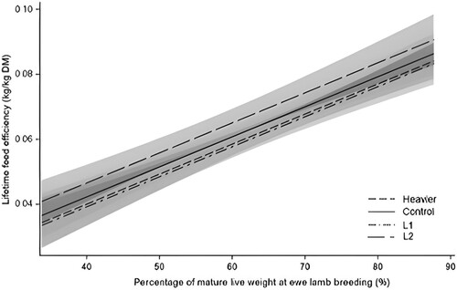 Figure 7. Lifetime feed efficiency (i.e. lifetime weight of lambs weaned/lifetime predicted pasture intake) of ewes in Heavier n = 116, Control n = 115, L1 n = 105, L2 n = 62 treatments in relation to the percentage of mature live weight at breeding as a ewe lamb (d209). Predictions and 95% confidence intervals are shown in grey. Heavier: ewes born as twins to mixed-age ewes and grown to 48 kg by d209; Control: ewes born as twins to mixed-age ewes and grown to 44 kg by d209; L1: ewes born to ewe lambs as singletons; L2: ewes born to ewe lambs as twins; only ewes with recorded live weights at d209 and breeding at four years of age (d1251) were included, irrespective of whether they were bred as ewe lambs.