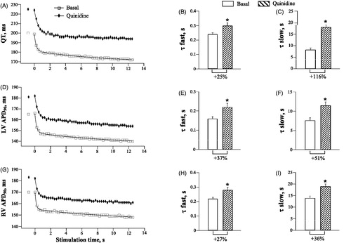 Figure 2. Effects of quinidine on the rate adaptation of QT interval and action potential duration in LV and RV chamber. The rate adaptation of QT interval (panels A, B and C), left ventricular (LV) action potential duration (APD90) (panels D, E and F), and right ventricular (RV) APD90 (panels G, H and I) was analyzed upon application of 50 pulses at S1–S1=250 ms at baseline and after quinidine infusion. In panels A, D and G, the first symbols staying apart from the main plots indicate the QT interval and ventricular APD90 determined in the last spontaneous cardiac beat prior to starting the LV pacing. *p < .05 vs. basal value. The same figure design is used in Figures 3–5.