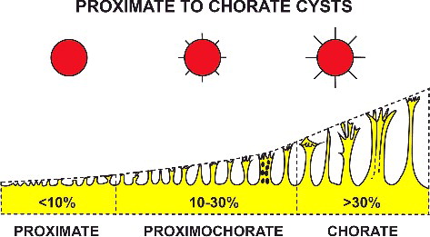 Figure 12. A diagram to illustrate the range of ornamentation exhibited by dinoflagellate cysts in terms of relative height. The continuum between low relief features on the left and the relatively long processes on the right is subdivided into three types of dinoflagellate cysts (i.e. proximate, proximochorate and chorate) depending on the ornamentation length as a percentage of the shortest diameter of the central body. The image is adapted from Fensome et al. (Citation1996c, fig. 22), which was in turn modified from Sarjeant (Citation1982a, fig. 2).