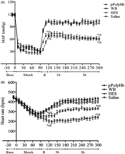 Figure 2. Blood pressure and heart rate in rat hemorrhagic shock model. (A) Mean arterial blood pressure (MAP) and (B) heart rate (HR) were monitored every 10 min throughout the experiment. R: resuscitation. *p < 0.05 in comparison with baseline; #p < 0.05 in comparison with the pPolyHb group; $p < 0.05 in comparison with the WB group.