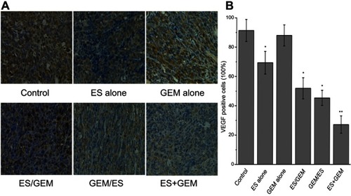 Figure 6 Expression of VEGF in Lewis tumor tissue. (A) Immunohistochemical staining against VEGF of xenografted Lewis treated tissues under various treatment regimens (×400 magnification). (B) VEGF positivity stain (%) within treatment groups. *P<0.05 vs control group, **P<0.05 vs all groups.Abbreviations: ES, endostar; GEM, gemcitabine.