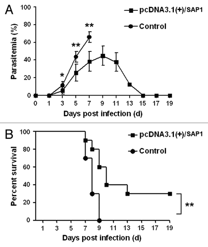 Figure 4. Parasitemia (A) and survival curves (B) of immunized mice at different time points post-inoculation of P. yoelii sporozoites by infected mosquitoes. Data are shown as means ± SD. Survival curves were analyzed by the Kaplan-Meier test. *p < 0.05; **p < 0.01.