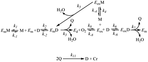 Figure 2 Monophenolase and diphenolase activities of Tyrosinase. EmM, met‐tyrosinase/monophenol complex; M, monophenol; D, o-diphenol; Em, met‐tyrosinase; EmD, met‐tyrosinase/o‐diphenol complex; Ed, deoxy‐tyrosinase; O2, molecular oxygen; Eox, oxy‐tyrosinase; EoxD, oxy‐tyrosinase/o‐diphenol complex; EoxM, oxy‐tyrosinase/monophenol complex; Q, o-quinone; Cr, Dopachrome.