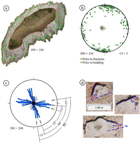 Figure 9. (a) Fractures and bedding mapped from the 3D model; (b) lower hemisphere, stereographic equal-area projections of poles to fractures (green dots) and to bedding (yellow squares) and associated contour plot after data filtering based on vertex collinearity (Woodcock Citation1977; Fernández Citation2005; Seers and Hodgetts Citation2016); (c) half-range rose diagram showing the distribution of the fracture strikes with the highlight of the main angles formed between the main fracture sets; and, (d) detail of selected boulders showing that angularity follows the dihedral angles of the fracture sets mapped in the 3D model of the island.