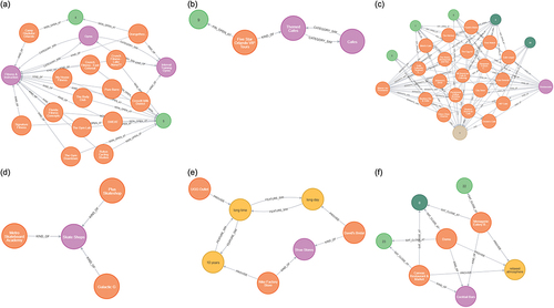 Figure 4. POI retrieval results using the attribute and semantic graphs; entities denoted by the following colors: retrieved place (POI) (orange), CATEGORY (purple), OUTDOORSEAT (beige), FEATURE (yellow), HOUR (light green), and MINUTE (green): (a)–(f) indicate the results to queries 1–5, respectively.