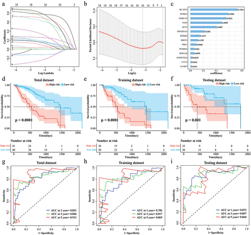 Figure 2. Prognostic modeling of PCD-related features in ESCC. (a) Trends in the coefficient trajectories of the independent variables in the LASSO COX analysis. (b) Confidence interval for the penalty parameter λ based on 10-fold cross-validation. (c) LASSO COX regression coefficients for prognosis-related DEPCDGs. (d-f) K-M curves for patients in the high/low RiskScore group in TCGA-ESCC, training set, and validation set. (g-i) ROC curves for TCGA-ESCC, training set, and RiskScore in the validation set to predict 1-, 3-, and 5-year patient survival.