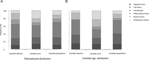 Figure 1. Differences of plasmatocyte and fungal tissue distribution after infection with C. albicans, C. auris and C. parapsilosis.