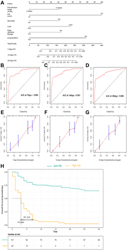 Figure 2 (A) A nomogram predicts the 7-day,14-day, and 28-day OS in 150 HM patients with CROs BSI. (B–D) The AUC of the nomogram for the 7-day,14-day, and 28-day OS. (E–G) The calibration curves for predicting the 7-day,14-day, and 28-day OS. (H) Kaplan-Meier survival curves of 30-day mortality. The diagonal gray lines could help to judge the agreement between predictions and actual observations in the AUC and calibration curves. The dotted lines drawn on the Kaplan–Meier curves were used to reveal the median survival time of patients when 50% of patients had the event. The data in the tables showed the number at risk and a cumulative number of events at specific time points.