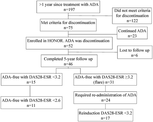 Figure 1. Patient recruitment process. ADA: adalimumab; HONOR: Humira discontinuation withOut functional and radiographic damage progressioN follOwing sustained Remission; DAS28: disease activity score 28; ESR: erythrocyte sedimentation rate.